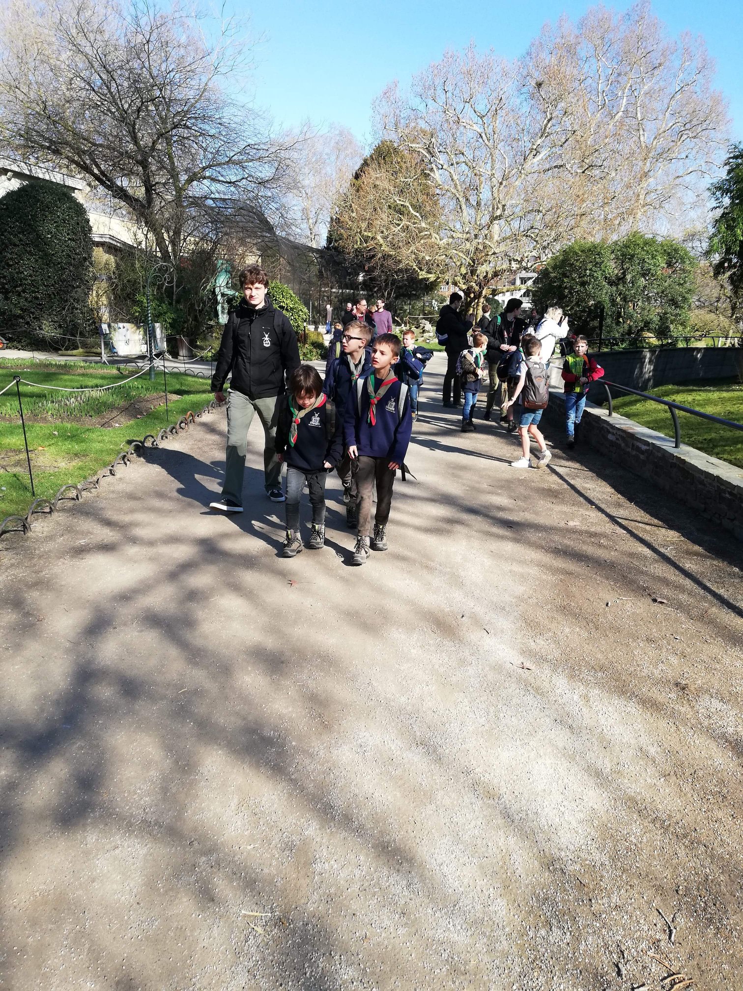 Sint-Martinus den XIIde - Zoo Antwerpen Kapoenen